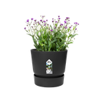 greenville round 18cm living black